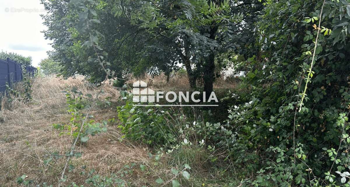 Terrain constructible - photo 2