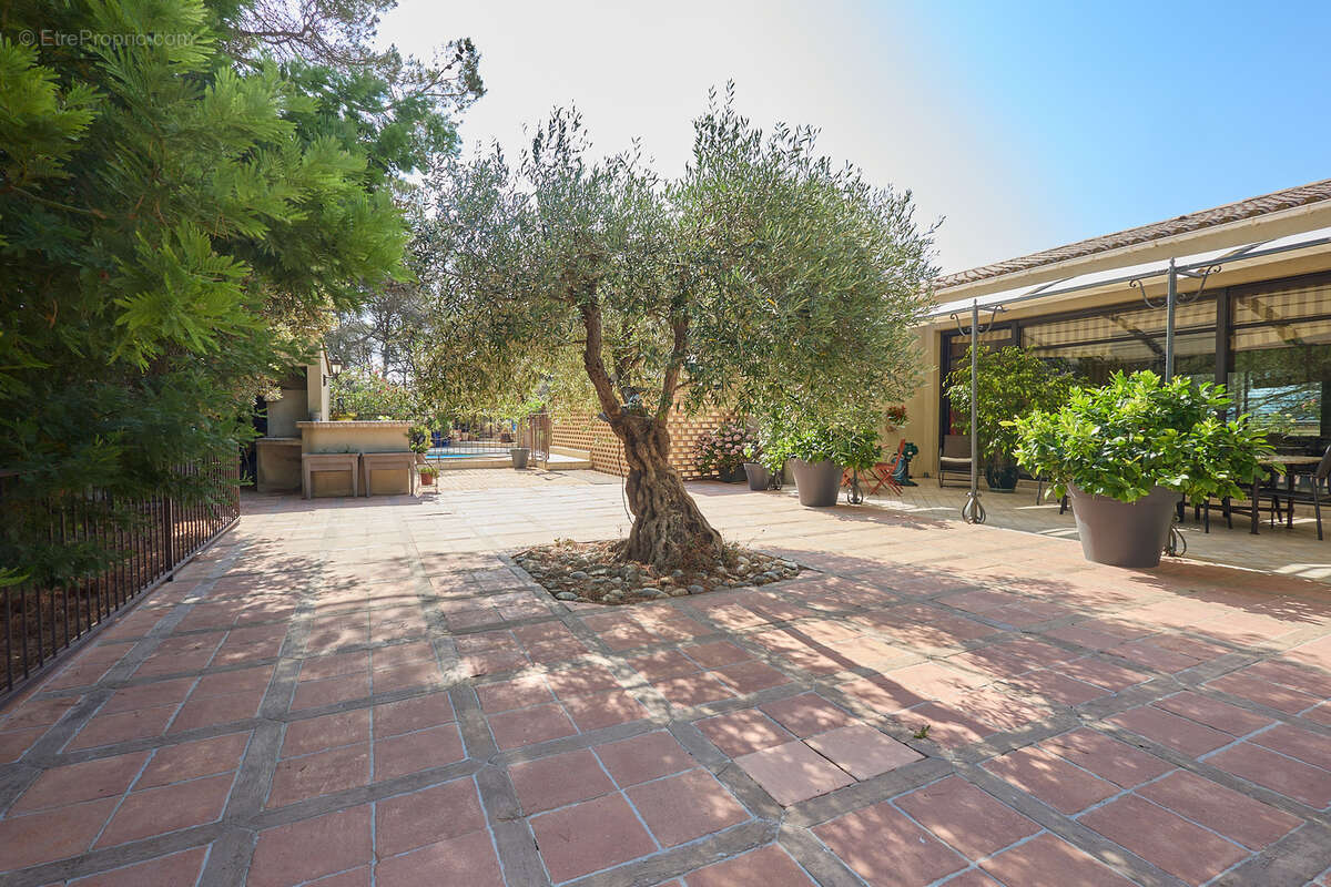 Maison à VILLEDUBERT