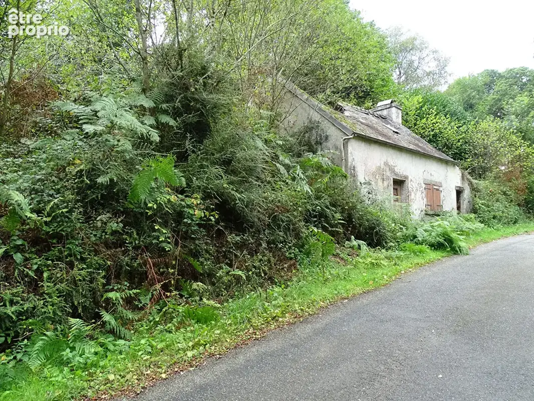FINISTÈRE. Maison bretonne à rénover avec 8 367 m² de terrain - photo 7