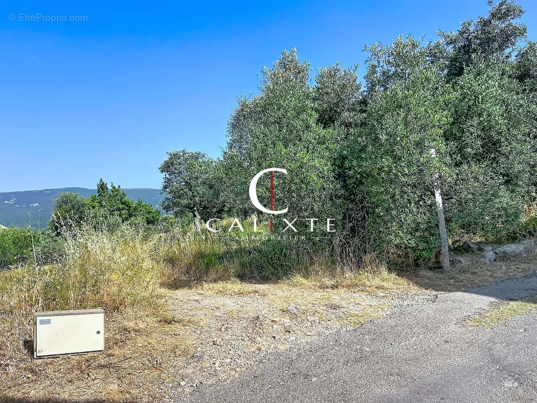 Terrain 1503 m² à Fayence  - photo 5