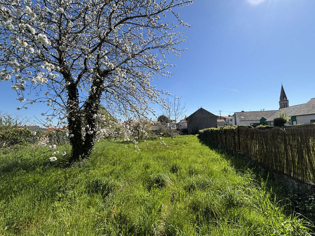 Terrain à LE PELLERIN