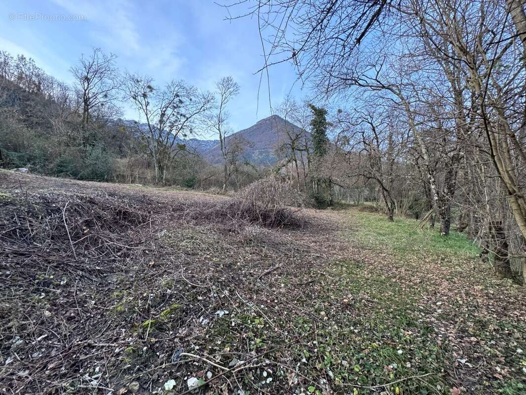 Terrain à LA TERRASSE