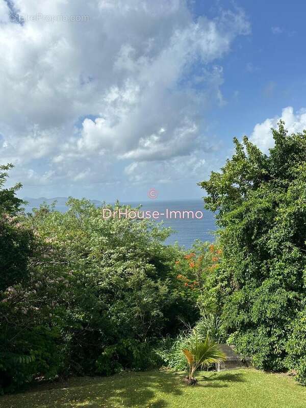 Maison à CASE-PILOTE