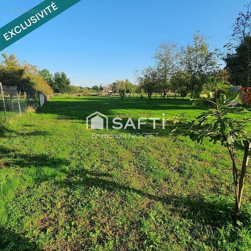 Photo 3 - Maison à AUVILLARS-SUR-SAONE