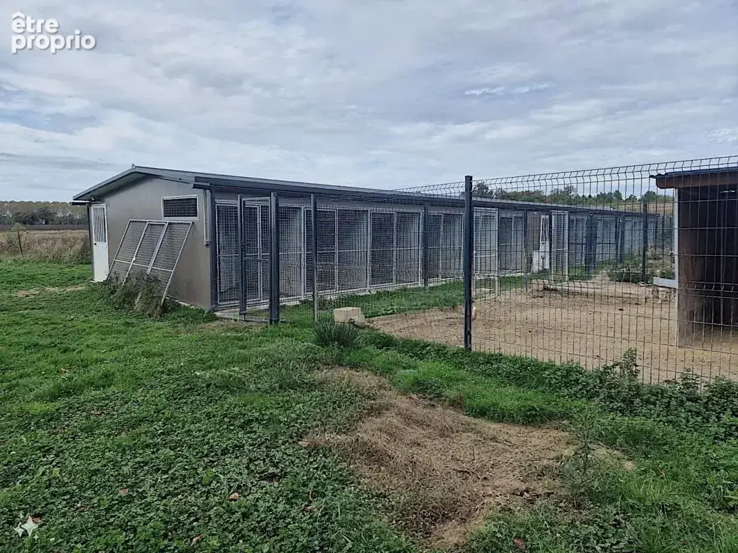 Maison 137m2 + dépendances + élevage canin sur 5,7 ha de terrain proche de aire sur l'adour (40) - photo 3