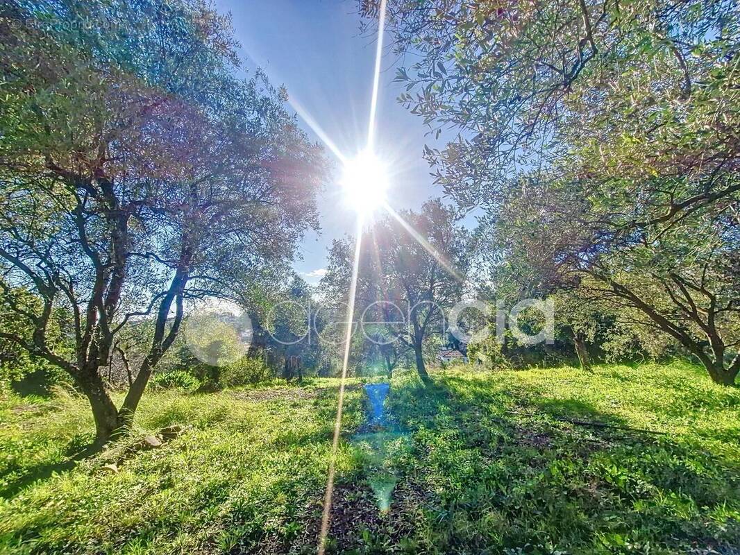 Terrain à GRASSE