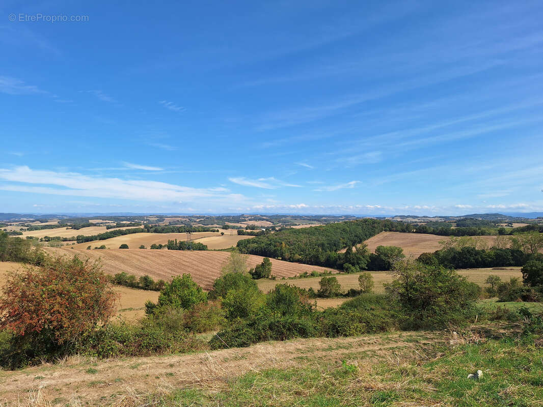 Maison à PUYLAURENS