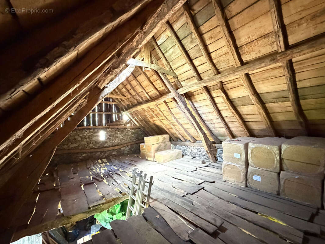 Propriété rurale,3 granges,5 Ha,source,09800 - photo 12