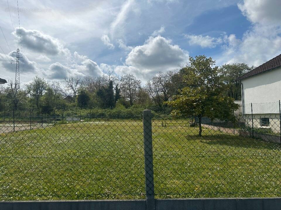 Terrain à SAINT-MAMMES