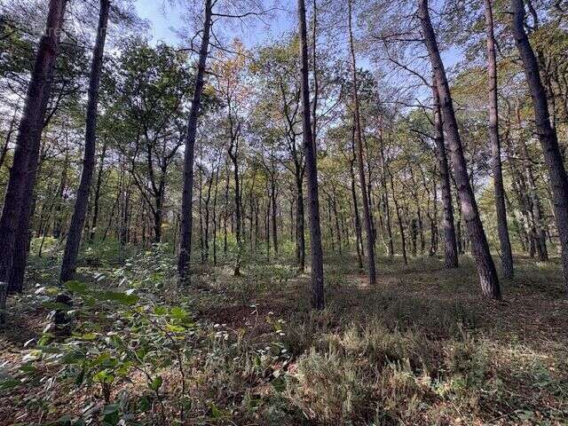 Terrain à VILLEFRANCHE-SUR-CHER