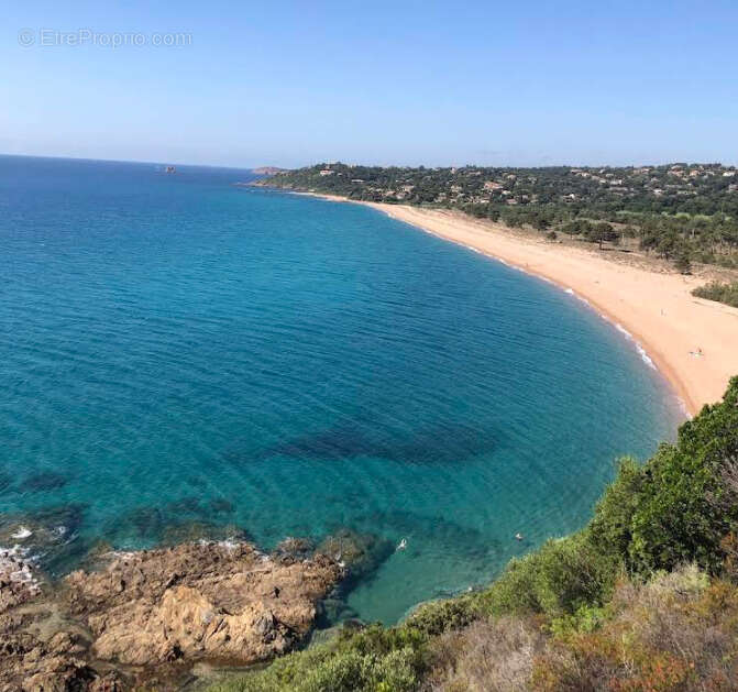 Appartement à ZONZA