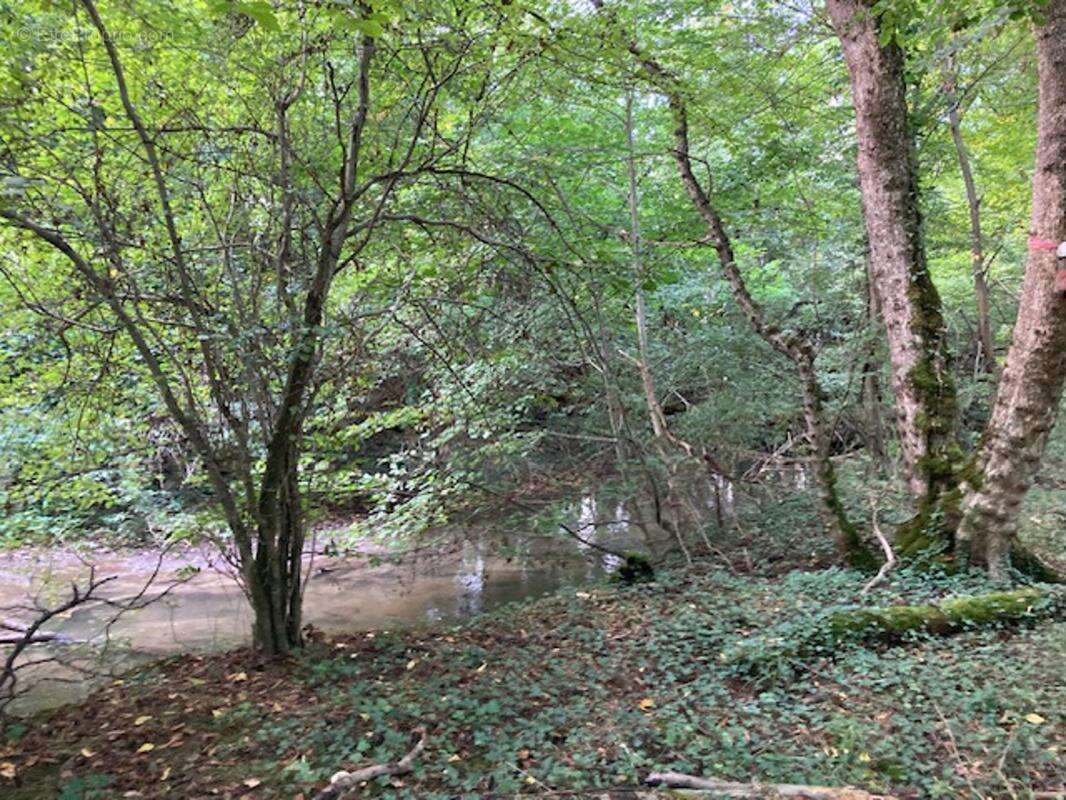 Domaine Forestier et chasse privée à vendre - photo 8