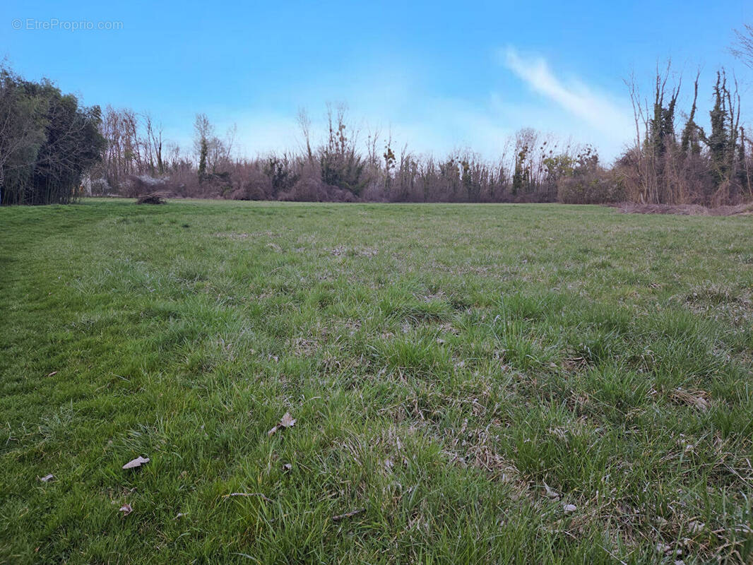 Terrain à SAINT-SAUVEUR-LES-BRAY