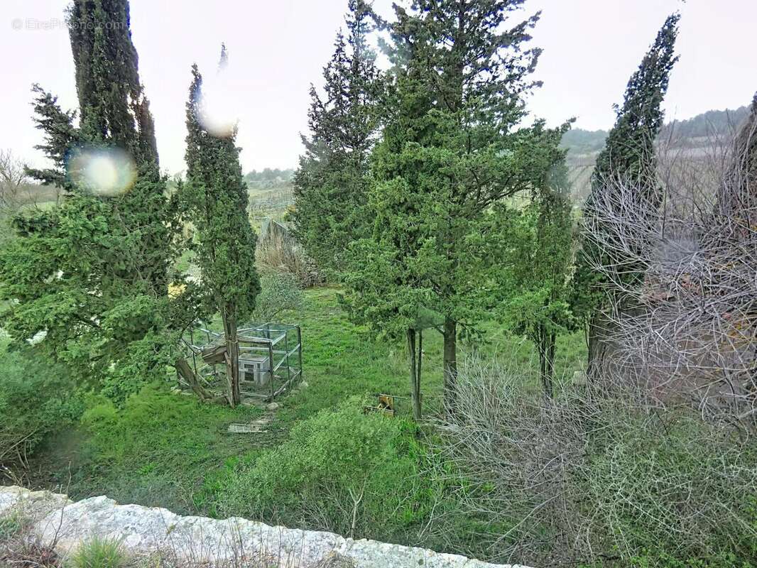 Photo 3 - Maison à OLONZAC