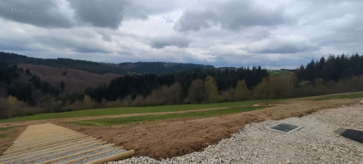 Terrain à SAINT-ROMAIN-LES-ATHEUX