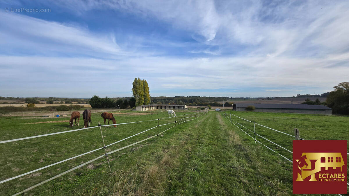 Maison à LEIGNE-LES-BOIS