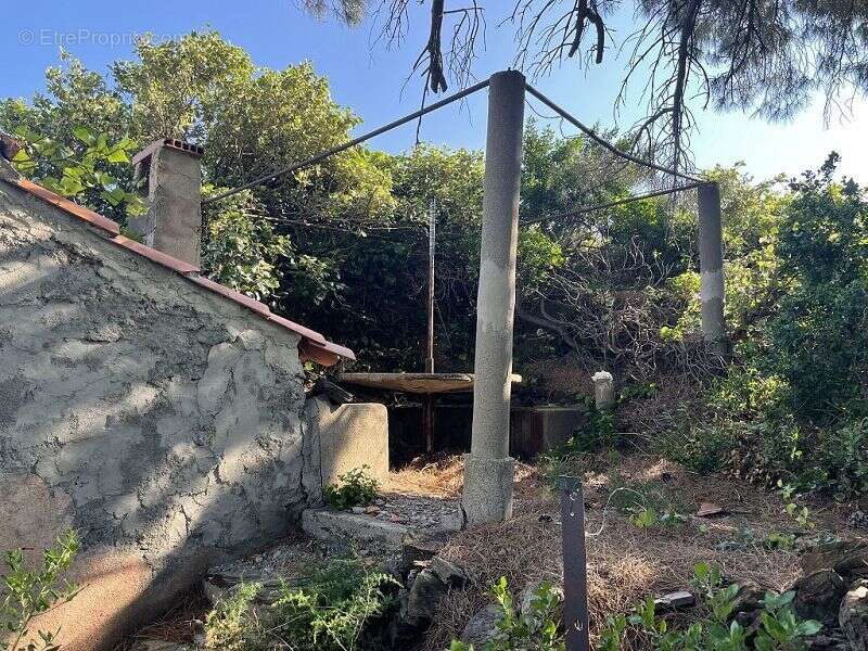 Terrain à COLLIOURE