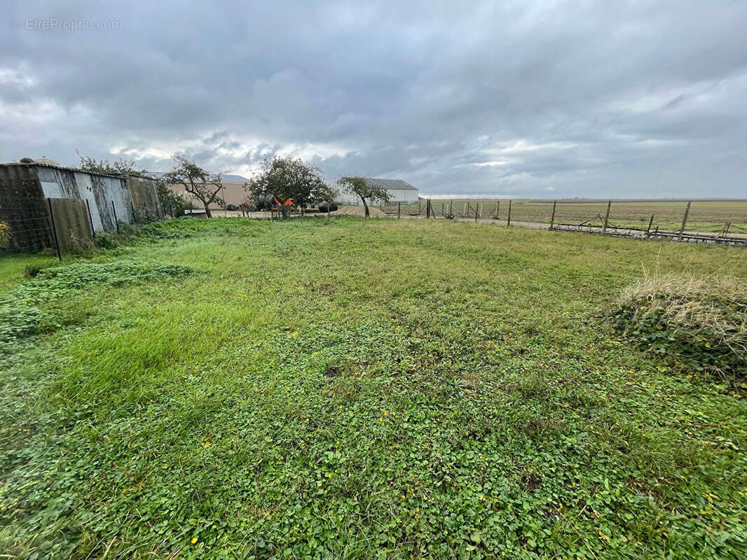Terrain à SANCHEVILLE