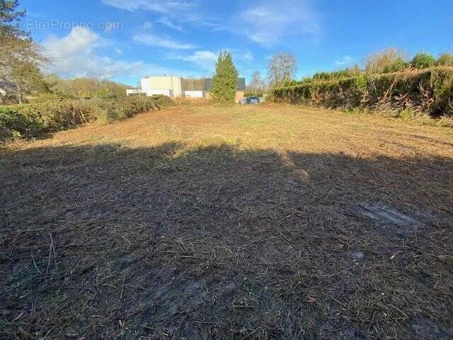 Terrain à SAINT-PAUL-DE-FOURQUES