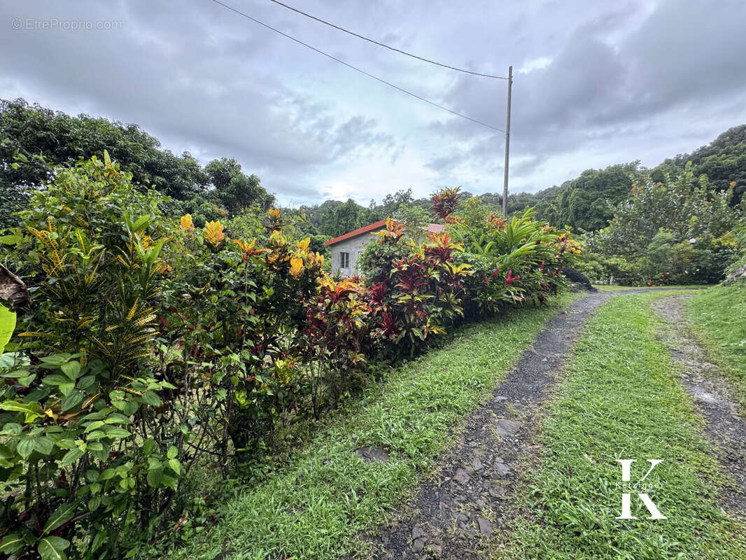 Terrain à LA TRINITE
