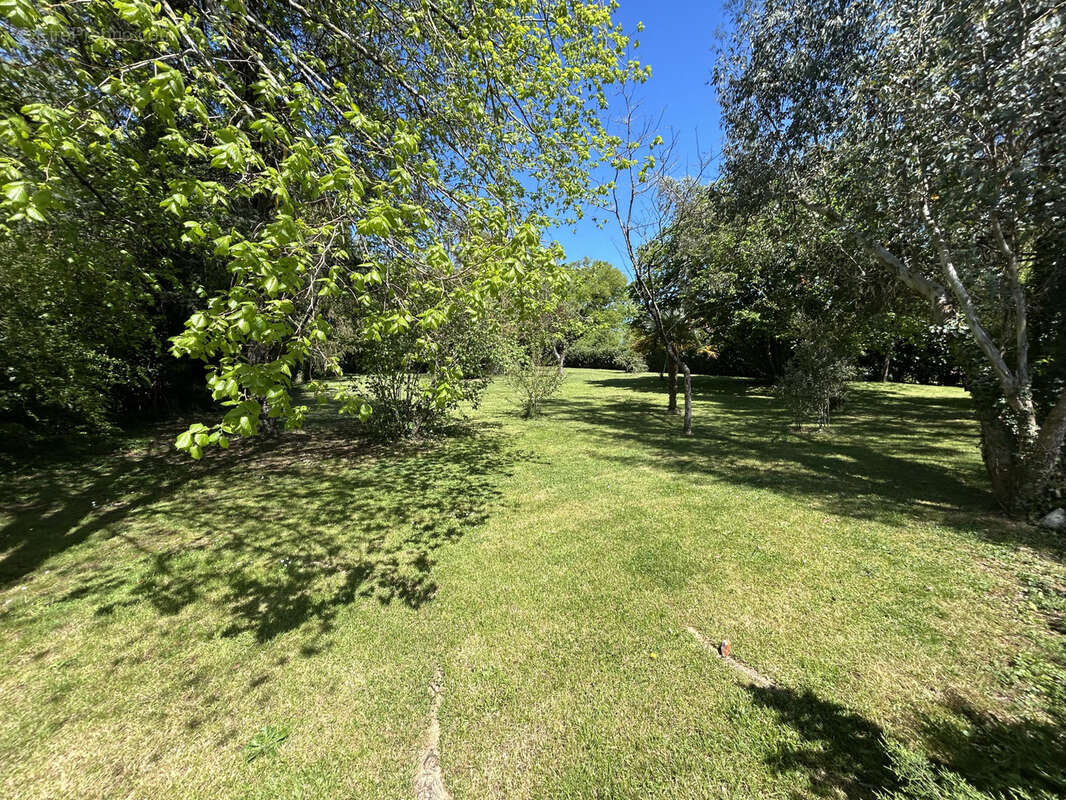 Maison à SAINT-MARY