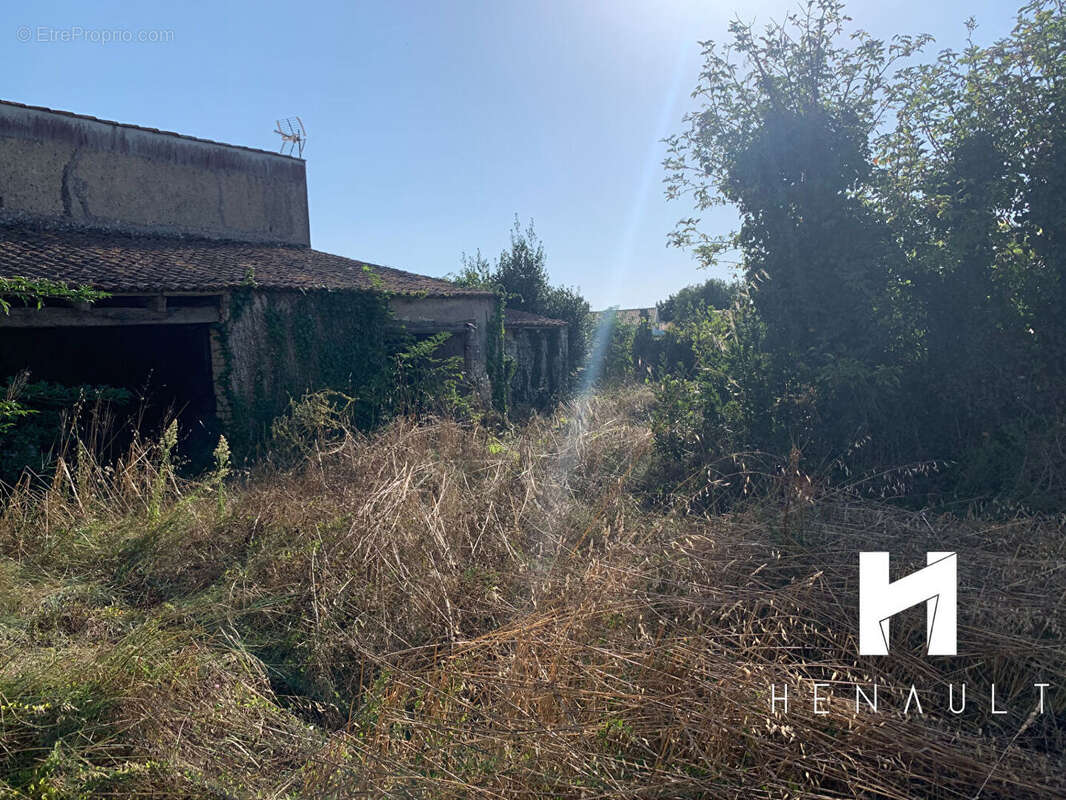 Maison à SAINTE-MARIE-DE-RE