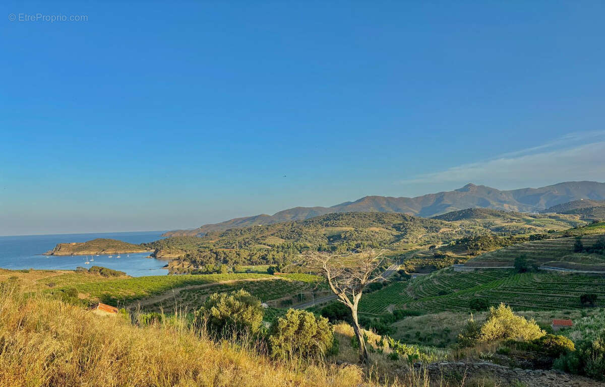 Port-Vendres Un projet rare sur la Côte Vermeille - photo 5