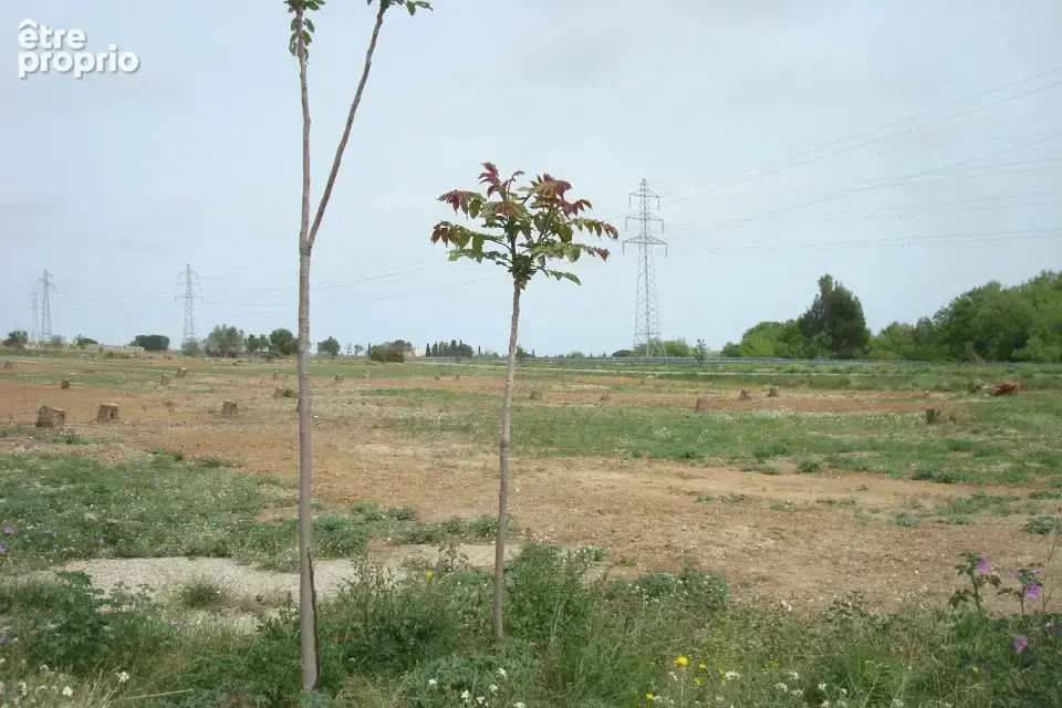 Terrain à PERPIGNAN