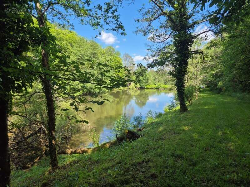 Terrain à PRESSIGNAC