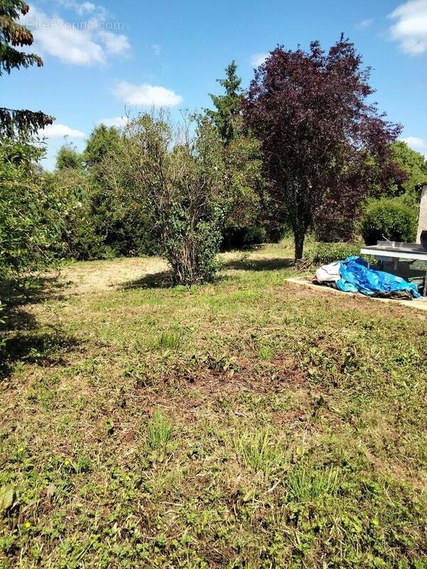 Terrain à FAREMOUTIERS