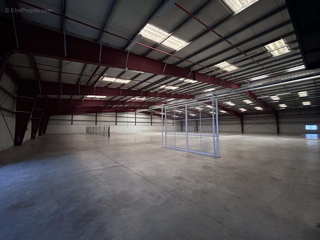 Intérieur - Bâtiment B - Commerce à ETABLES-SUR-MER