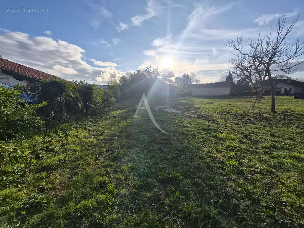 Terrain à VILLENEUVE-DE-MARSAN