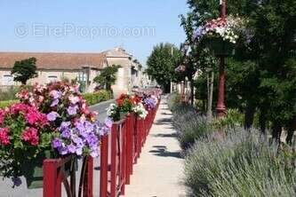 Terrain à PORTEL-DES-CORBIERES