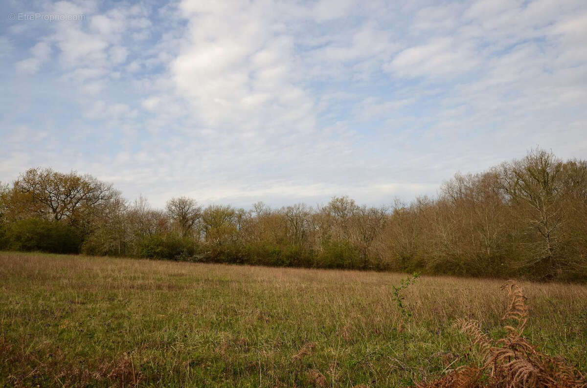 Terrain à MAULICHERES