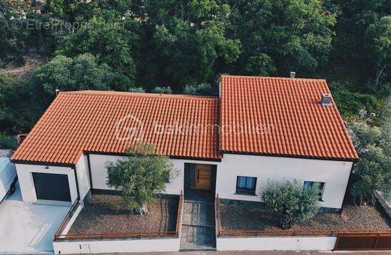 Entre Mer et Montagne, une Villa Unique au Cœur d’un Écrin d’Oliviers - photo 3