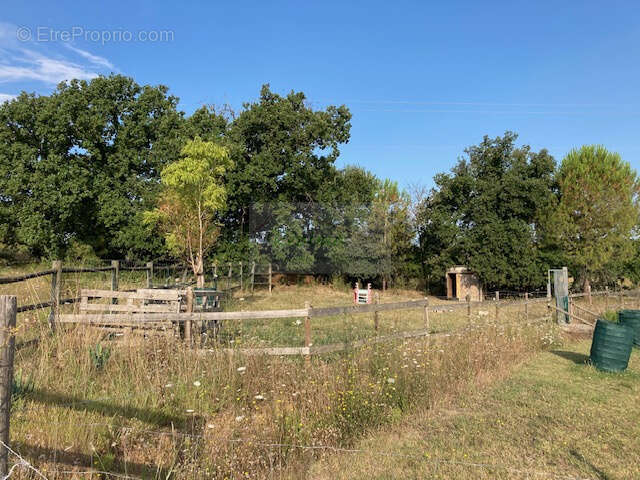 Propriété à Boisseron : nature, espace et fort potentiel locatif réunis - photo 20