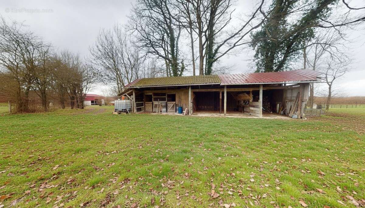 Maison-5 pièces-10 hectares - photo 24