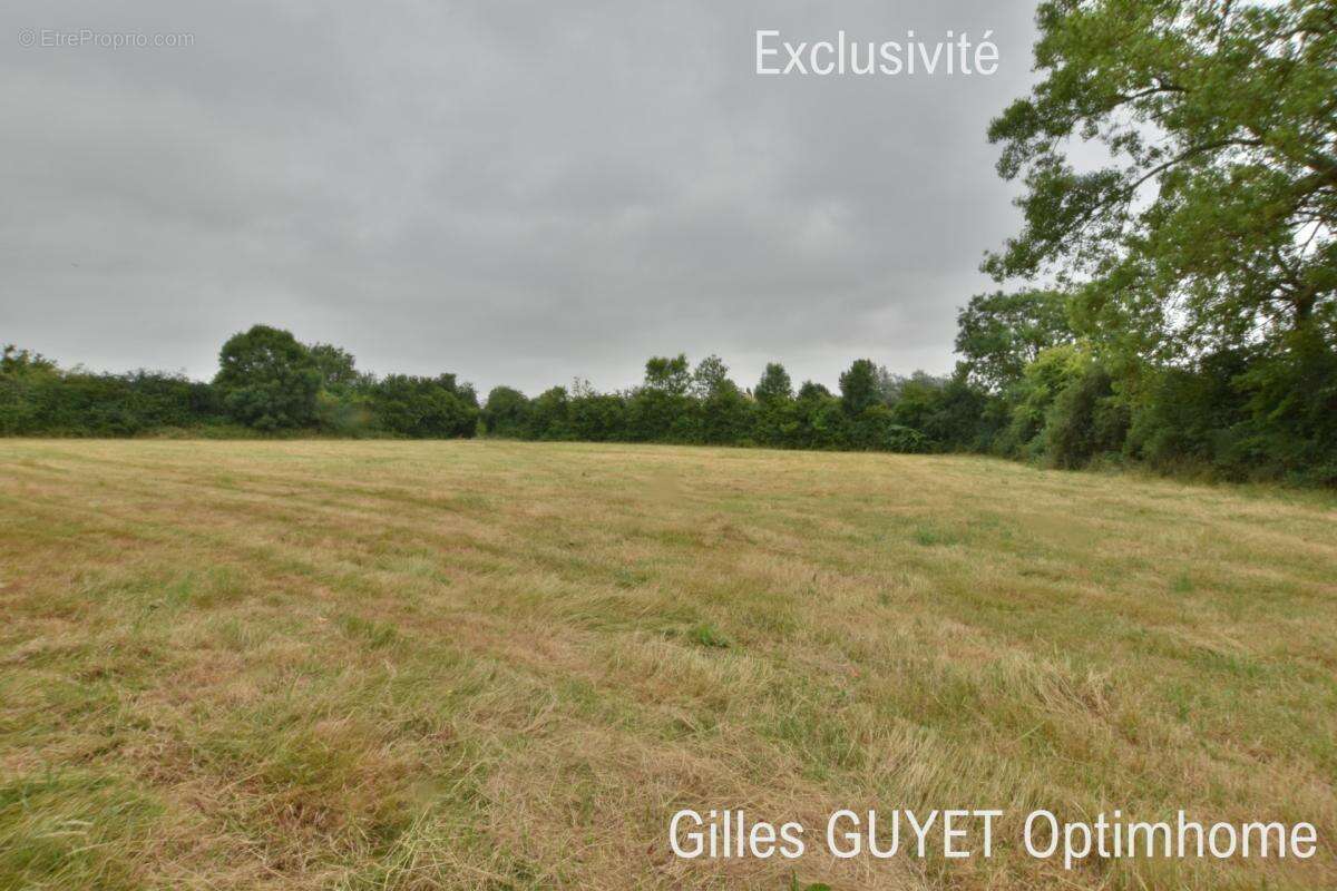 Terrain plat constructible de 5400M² 20MN de BERNAY, 35000€ - photo 6