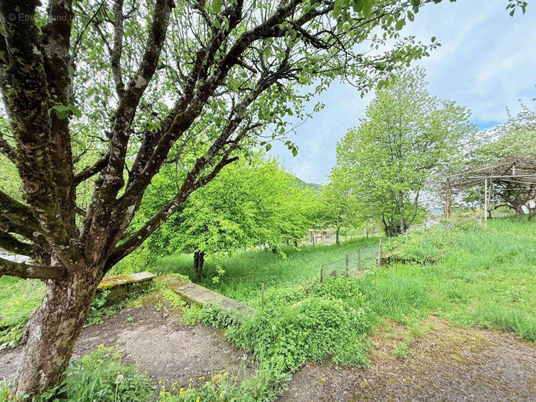 Maison à MONTGESOYE