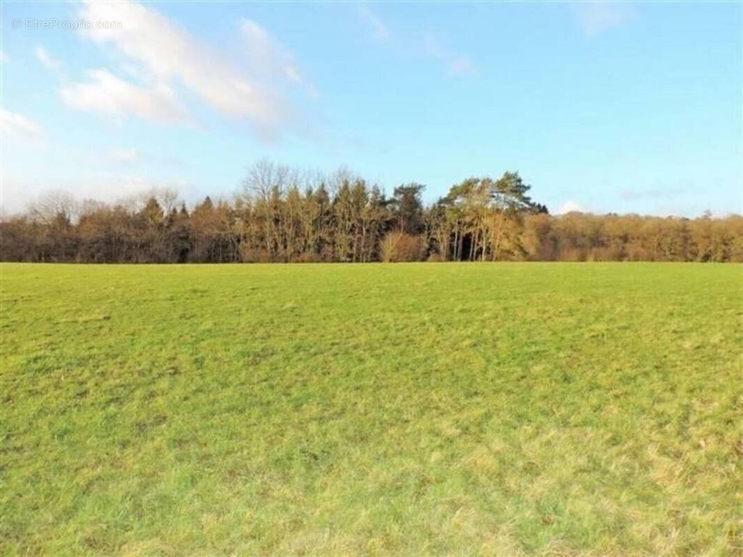 Photo 1 - Terrain à GEMOZAC