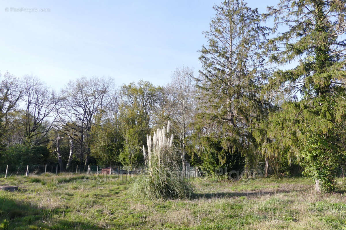 Terrain à SAINT-VIVIEN-DE-MEDOC