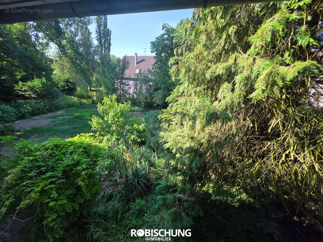 WOLFERSDORF : Magnifique corps de ferme - photo 2