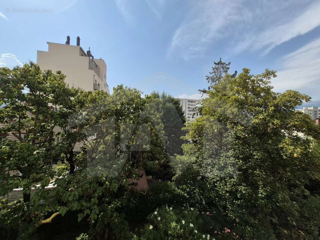 Appartement 2P+C - photo 11