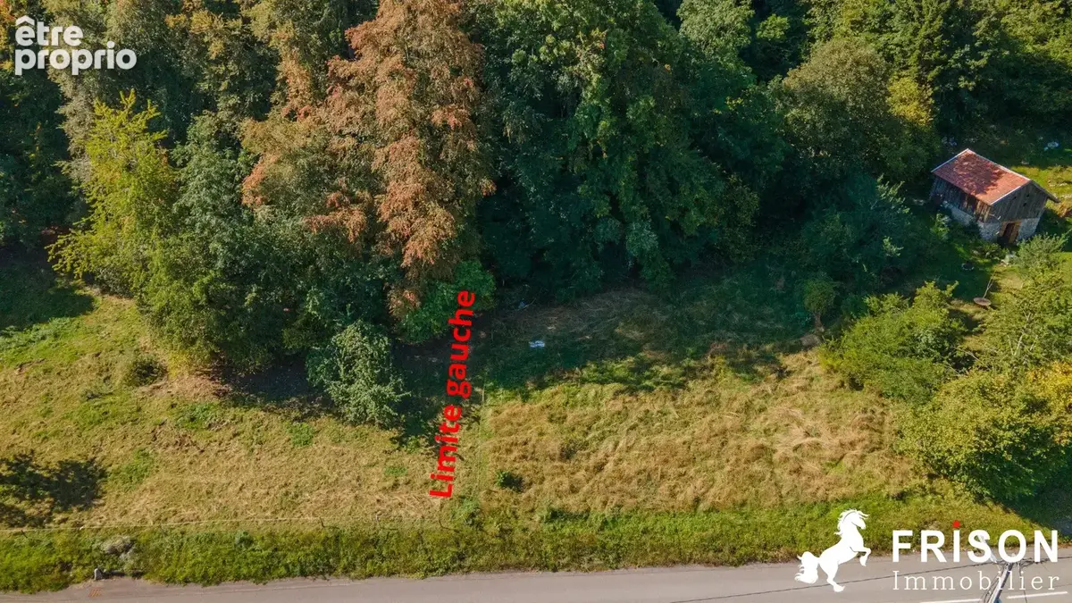 Terrain 1 124 m² à vendre à Thollon-Les-Memises (74500) - photo 3