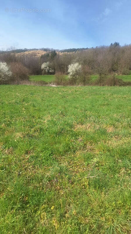 Terrain à VAULNAVEYS-LE-HAUT
