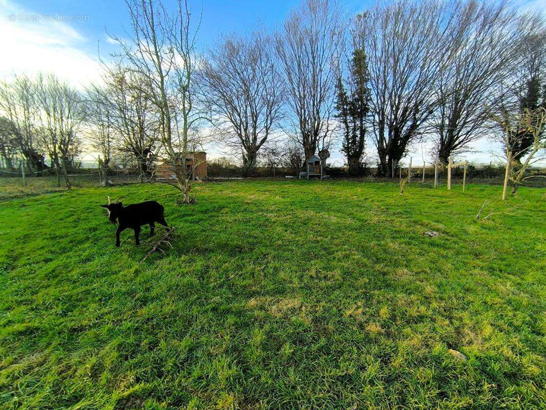 Maison à GOURNAY-EN-BRAY