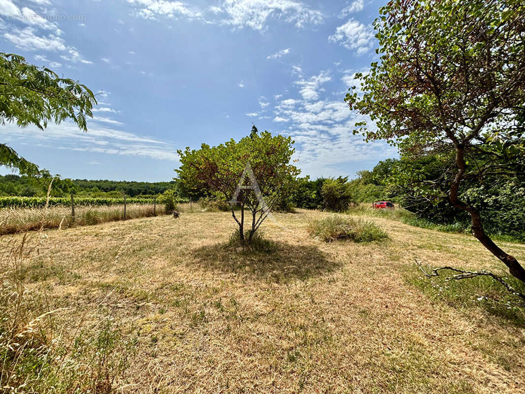 Maison à SASSAY