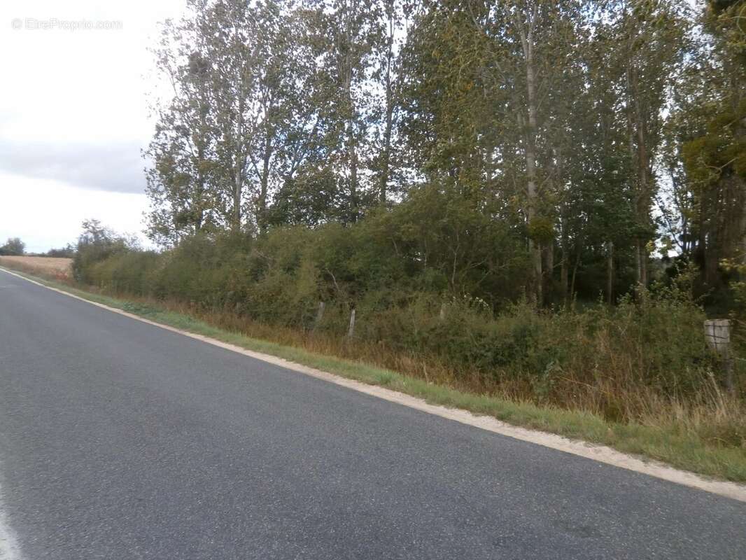 Terrain de loisirs 2370 m2 en partie boisee de peupliers - photo 3