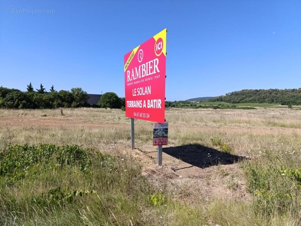 Terrain à SAINT-MATHIEU-DE-TREVIERS
