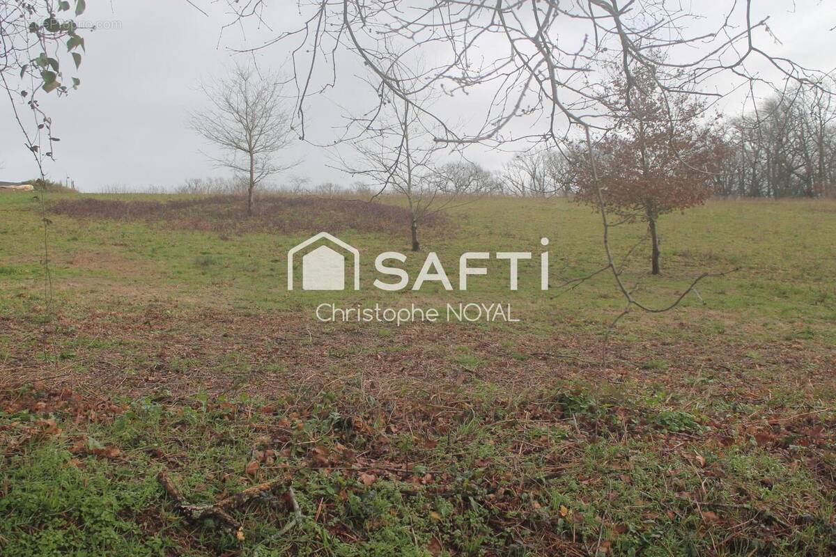 Photo 1 - Terrain à BOUMOURT